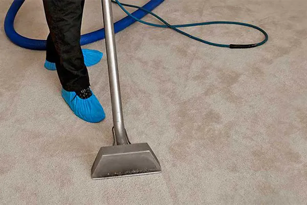 Carpet Cleaning