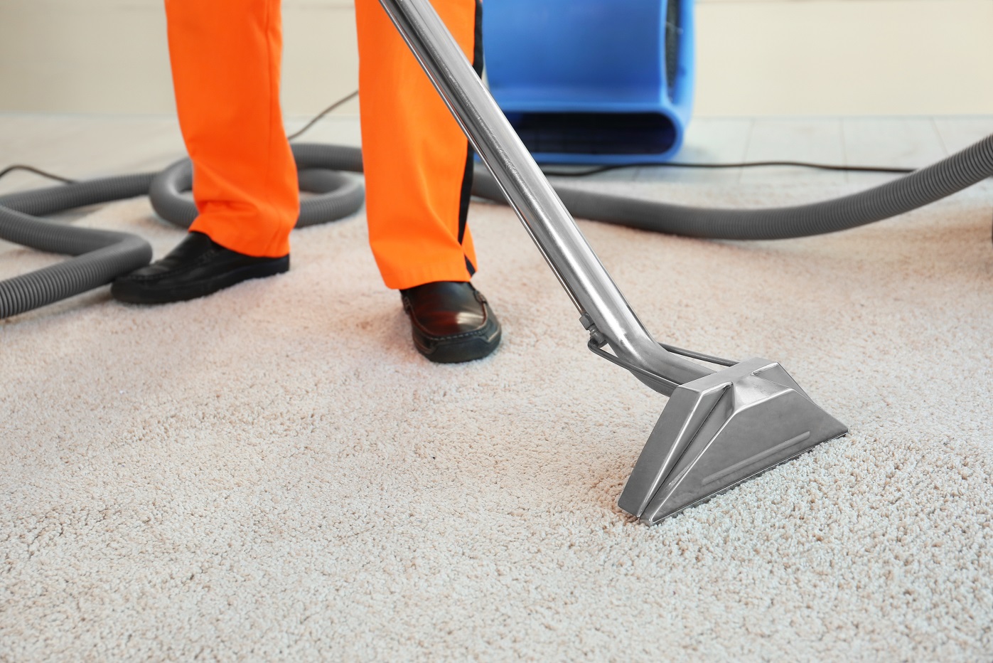 Carpet-Cleaning-professional