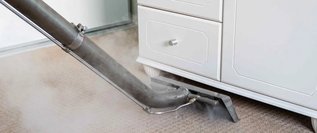 Steam Clean Carpets